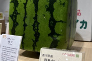 【画像】国民的漫画にも出てきた「四角いスイカ」、めちゃくちゃ高価だったｗｗｗｗ