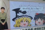 【朗報】有名弁護士「ゆっくり茶番劇の商標権をオレが買い取って抹消登録します」