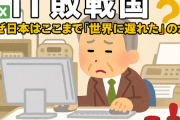 【ＩＴ】真面目な話、なんで日本はIT全般で遅れを取ったん？