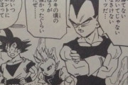 ベジータ「悟飯は？」「悟飯は闘えるか？」「悟飯に出てもらうしかないな」「よう悟飯」
