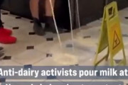【動画】ヴィーガン活動家さん、スーパーのミルクを床にぶちまけてしまう