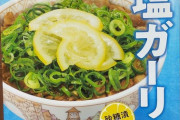 【画像】うわぁー、こんな正気を失ったような牛丼、見たことあるか？
