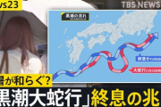 【朗報】今年の夏、涼しいかも