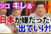 そうやって直ぐ被害者ぶるから嫌われる。実際危険になるかもしれんし、帰れば？　～　在日　「韓日関係の悪化によって日本で暮らす韓国人たちの安全に対する不安感が高まっている」