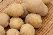 【朗報】じゃがいも、焼いても茹でても煮ても蒸しても揚げても美味い