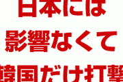 韓国の報復措置、日本への影響はなく韓国に大打撃！？　日本が本気で対抗すれば韓国はパニック状態？