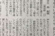 【悲報】朝鮮学校の小学生「登校中に日本人のおじさん達が嫌がらせをしてくる」