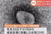 新型コロナ｢オミクロンXE｣感染者､日本に到着してた