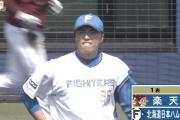 【速報】日本ハム田中正義、初回失点