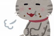 【悲報】ワイの猫、グルメで草wwww
