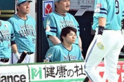 【悲報】藤本就任以降の鷹の祭典の成績がこちら