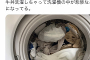 【悲報】Twitter民「間違って牛丼洗濯しちゃった」←14.5万いいねｗｗｗｗｗｗｗｗｗｗｗ