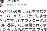 某有名スプラプレイヤー「Vtuberからコラボしませんか？ってきて返したらリムられてたｗｗｗ」誰だろこれ