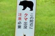 クマ狩りで山に向かった猟友会8人組、返り討ちにあう
