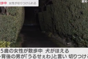 「うるせぇわ」 散歩中の犬に吠えられた男、飼い主の女性を刃物で切りつける