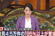 【発狂ｗ】マスコミ「９５％支持が事実なら戦前と同じ。安倍外交より恐ろしい反韓世論、異様な蔓延」