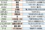 来月より，新アテナイ人になる皆様に，これだけは覚えておいて欲しいカタカナ言葉をまとめました．