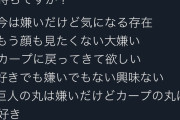 巨人・丸に対する気持ちアンケート・・・