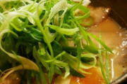 【画像】ネギがたくさん入ってるラーメンwww