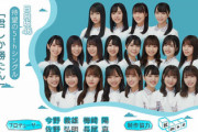 【日向坂46】『ひなあい』フォーメーション発表のフェイントを入れてくるw【君しか勝たん】