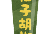 【悲報】柚子胡椒、使い道がない