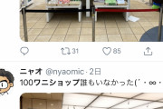 【画像】100ワニショップ、Twitter民が押し寄せ東京駅最大の撮影スポットになるｗｗｗｗｗｗ