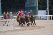 【GIF】競馬中継で起きた放送事故