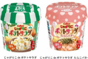 【朗報】カルビー公式が「じゃがりこ de ポテトサラダ」を販売！お湯をかけて混ぜるだけ！