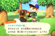 あつまれどうぶつの森 住人に変なニックネームをつけられそうになりました
