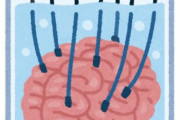 【悲報】研究者「脳みそ?を培養してそのままコンピュータにできへんかな?」