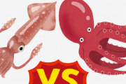 【朗報】タコvsイカ　タコの圧勝だった　イカカスｗｗｗｗｗｗｗｗｗｗｗｗ