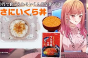 【画像】ホロライブ新人VTuberの「お昼ごはん」が限界すぎると話題に……先輩も思わず絶句