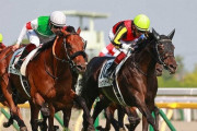 【エフフォーリアとの再戦は持ち越し】ダービー馬シャフリヤール　ドバイシーマクラシックへ