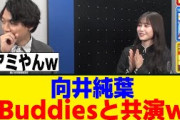 [櫻坂46]クイズ王、向井純葉との共演で様子がｗ