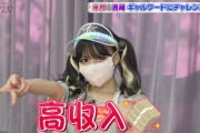【悲報】米村姫良々「高収入～」