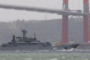 【動物】黒海でイルカが大量死　ロシア軍艦の低周波原因か