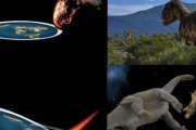 【画像】地球平面説における恐竜絶滅ｗｗｗｗｗｗｗｗｗｗ