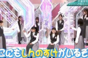 土田晃之さん「櫻坂でクレヨンしんちゃんのモノマネをするヤツ山ほどいますからね」【日曜のへそ】