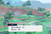 ポケモン「見わたす限りの　山！草むらに　森！」