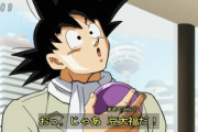 ドラゴンボールで一番好きなキャラ、結局みんな悟空説