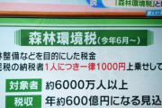 【岸田増税】メガソーラーで森林ぶっ壊しまくってる状況で森林環境税　始まる