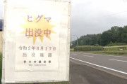 【北海道】砂川市 ヒグマ出没も銃が・・・人里近くに10頭ほど現れているのに