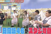 【日向坂46】若林さんラジオでの発言はこれだった！？ 加藤史帆&佐々木美玲が「どうぶつピース」スタジオに登場へ！