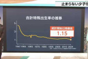 【悲報】合計特殊出生率、過去最低に