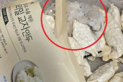【異物混入】韓国の自然派食品の冷凍ギョーザ、中国製冷凍ギョーザ中毒事件の上を行く記録叩き出すｗｗｗｗ