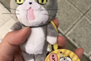 【画像】ワイ、クレーンゲームで現場猫をゲットしてしまう