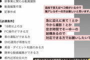 【画像】美女YouTuber「月給18万で月25日送迎身の回りの世話動画編集と急な呼び出しにも応じる人いないかな～」