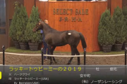 【セレクトセール】フォエヴァーダーリングの2019（父ディープインパクト）を４億円で落札　他