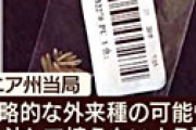 【画像】 話題の中国から届いた「謎の黒い種」 実際に植えたら、こうなった