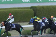 ●ダート馬が連勝止まると以降ボロボロになる現象